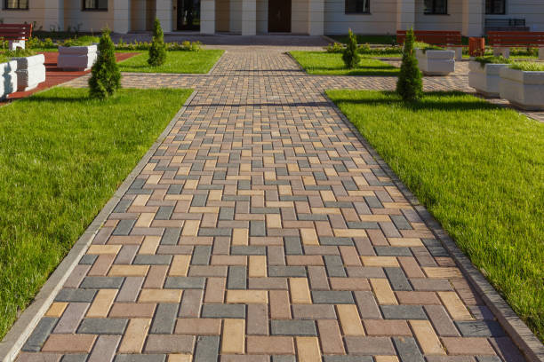 Best Local Driveway Pavers  in Trion, GA